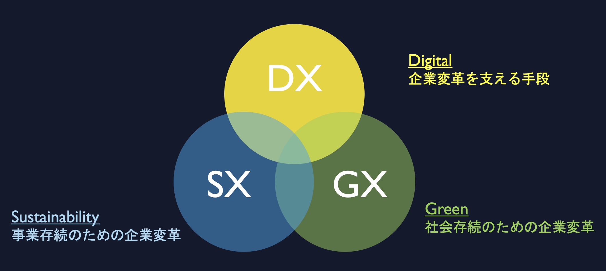 変革リーダーが語る日本企業に求められるDXの本質